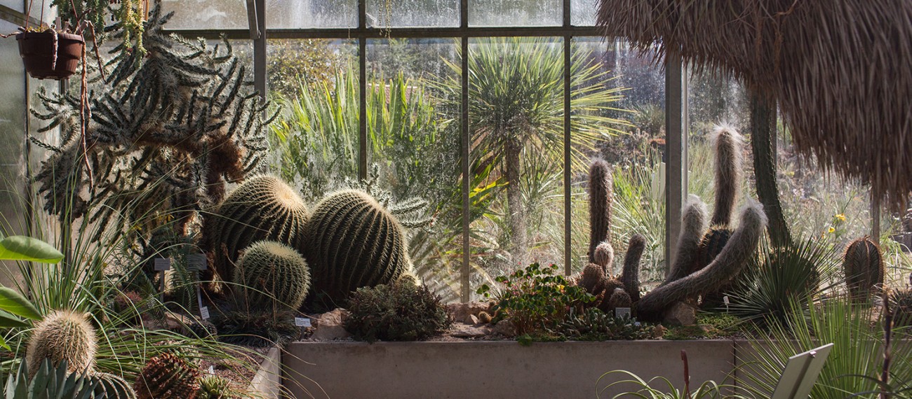 Carina Schäfer Botanischer Garten TU Darmstadt