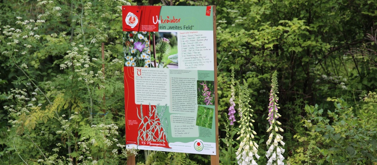 Ausstellungen Botanischer Garten TU Darmstadt