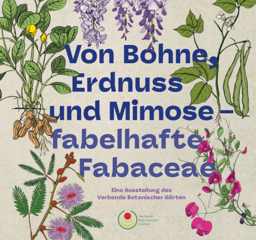 Home Botanischer Garten TU Darmstadt