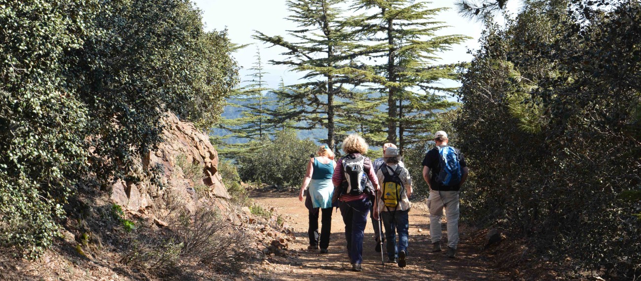 Exkursion des Freundeskreises 2016: Zypern, Zederntal