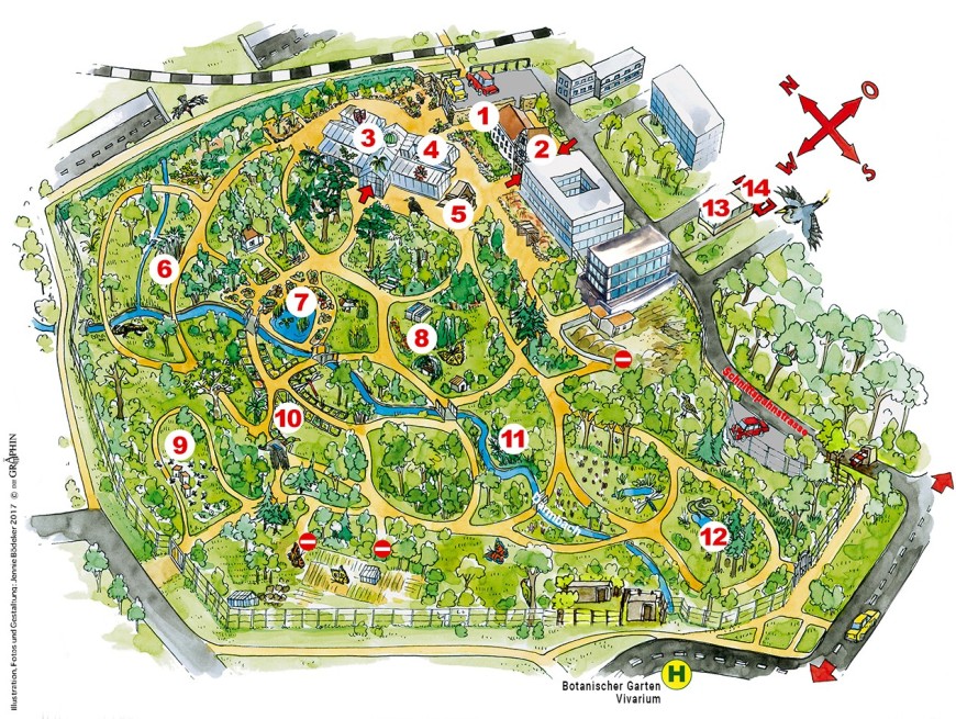 Gartenplan - Botanischer Garten - Technische Universität ...
