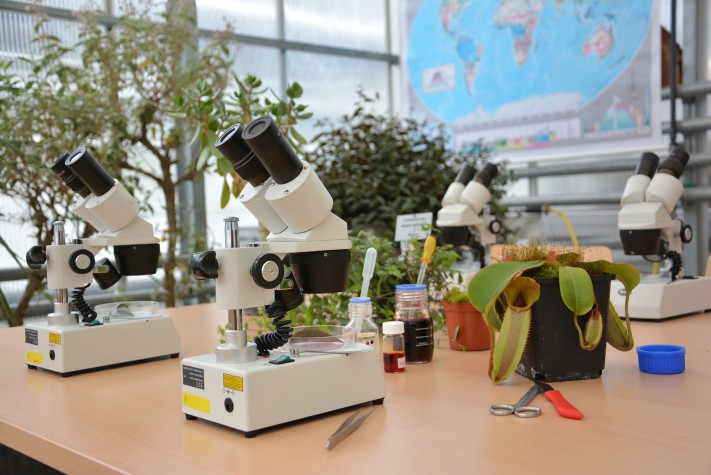 44+ Botanischer Garten Der Tu Darmstadt, Der botanische garten