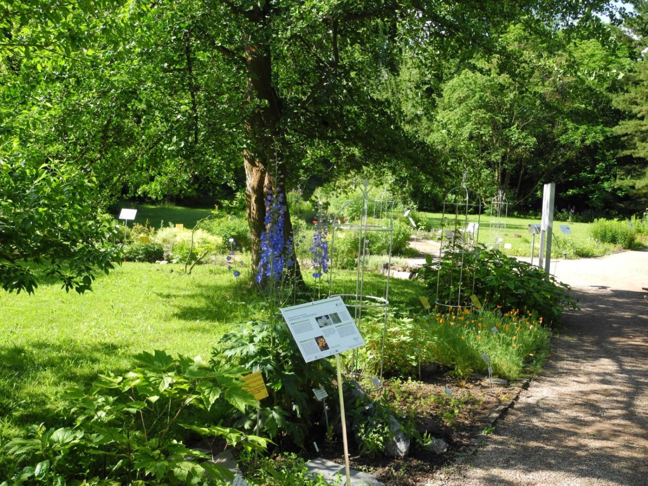 Gartenplan Botanischer Garten TU Darmstadt