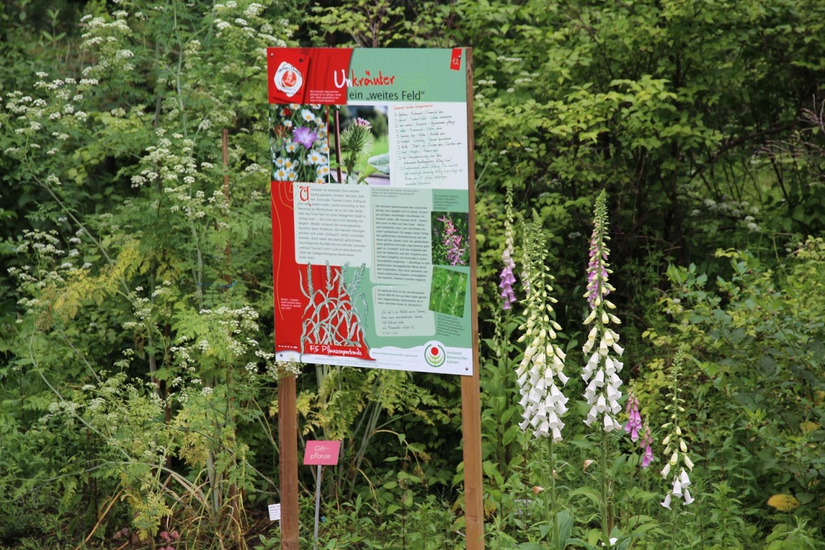 Ausstellungen Botanischer Garten TU Darmstadt